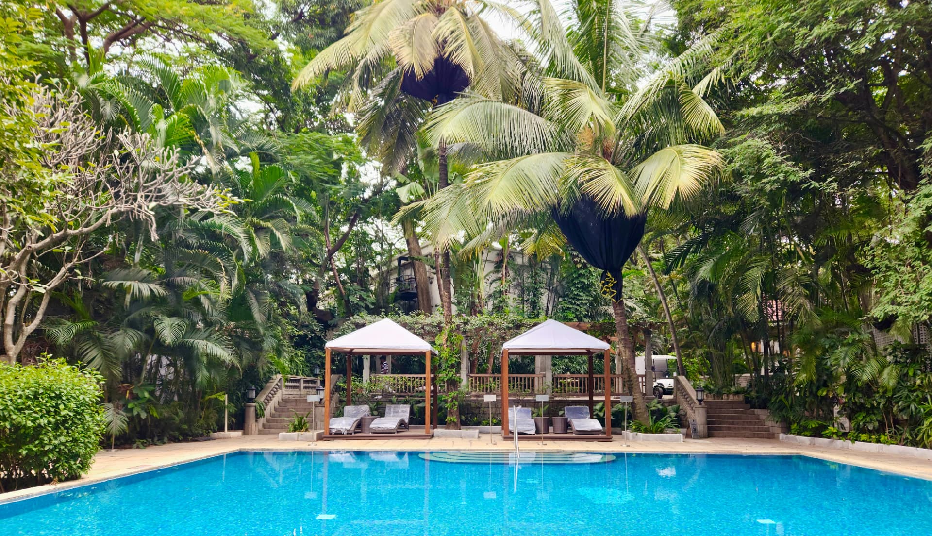 A tropical pool surrounded by palm trees and cabanas
