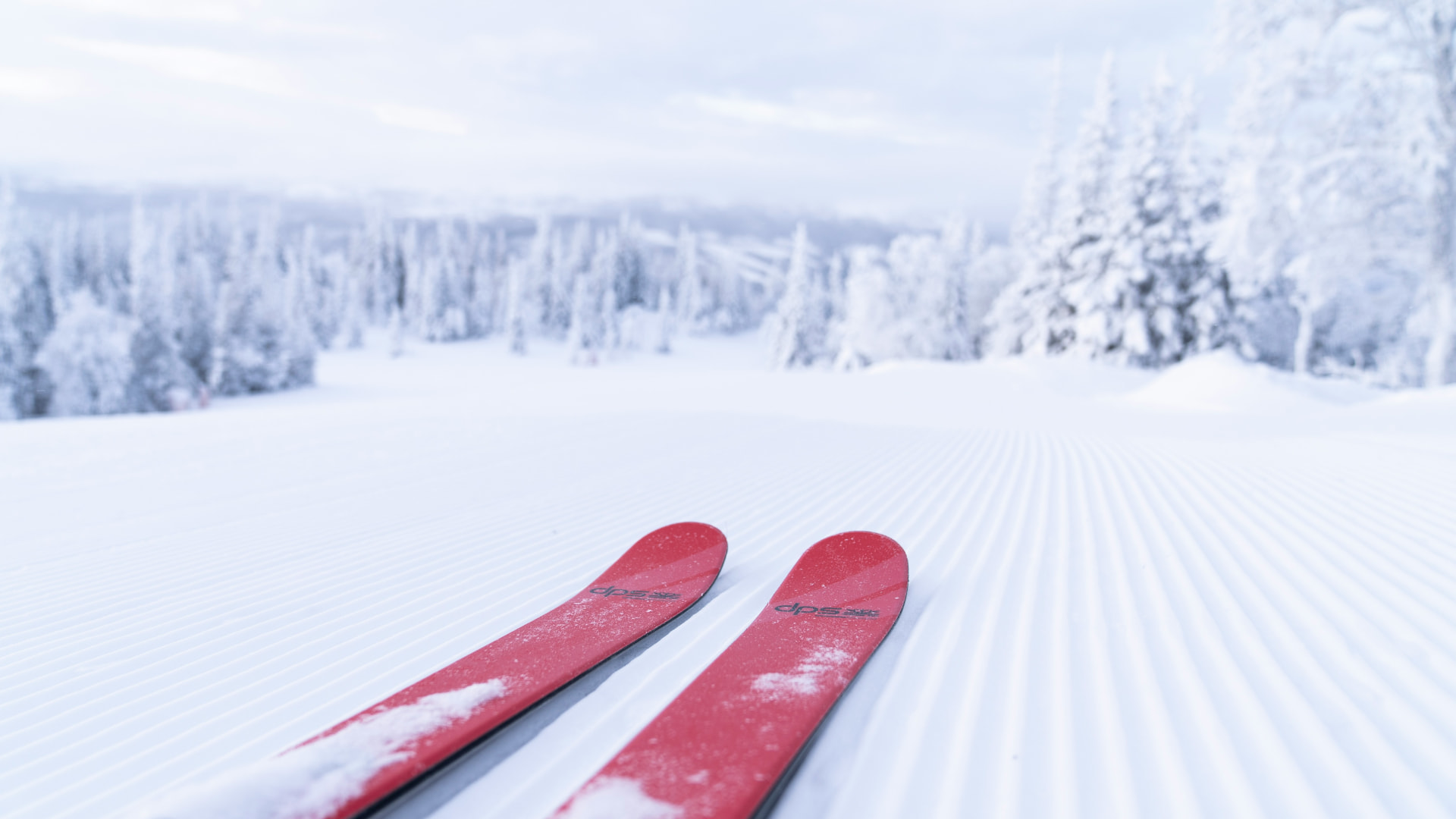 Fresh snow on a quiet alpine piste with red skis in the foreground