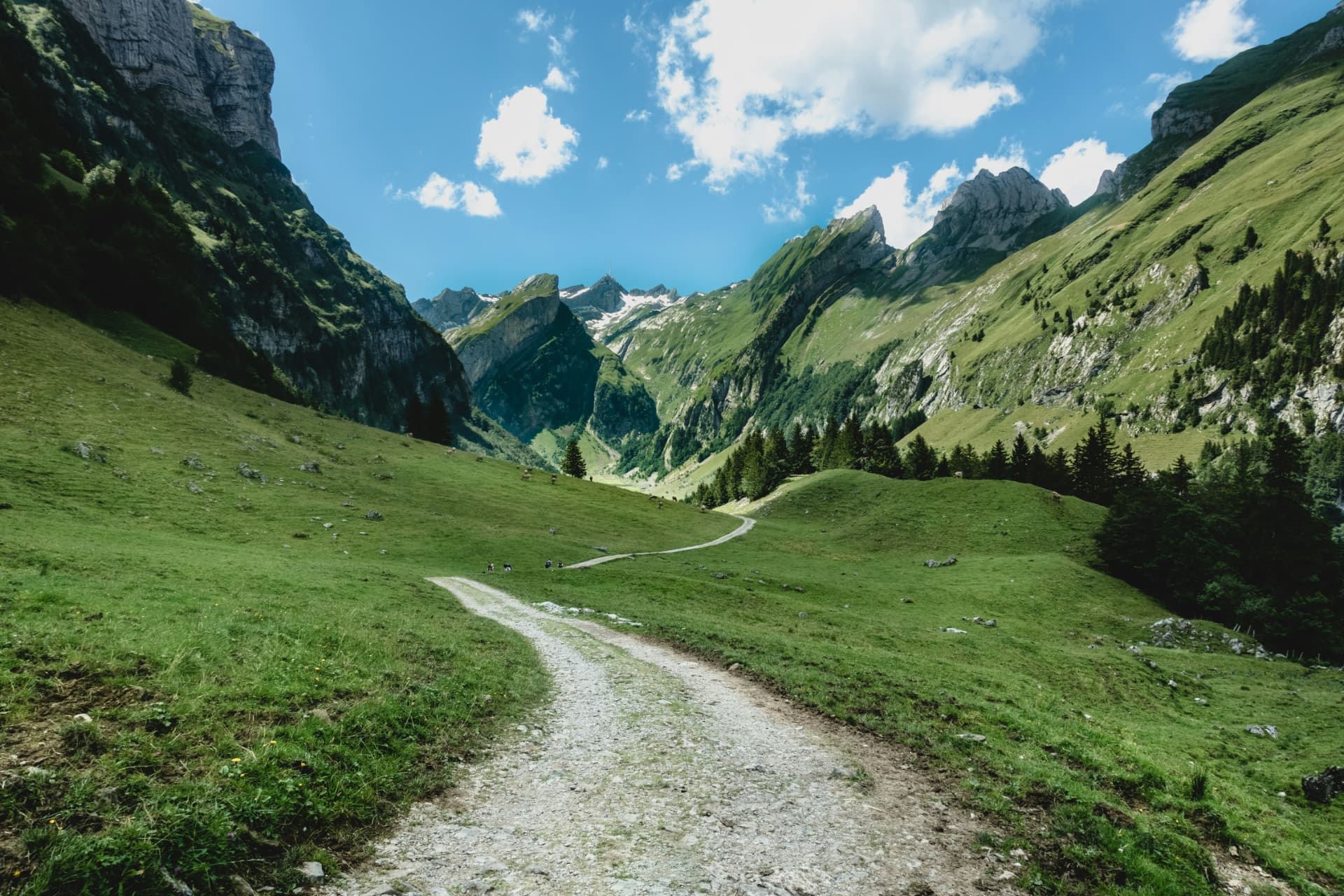 A walking path through a green alpine valley
